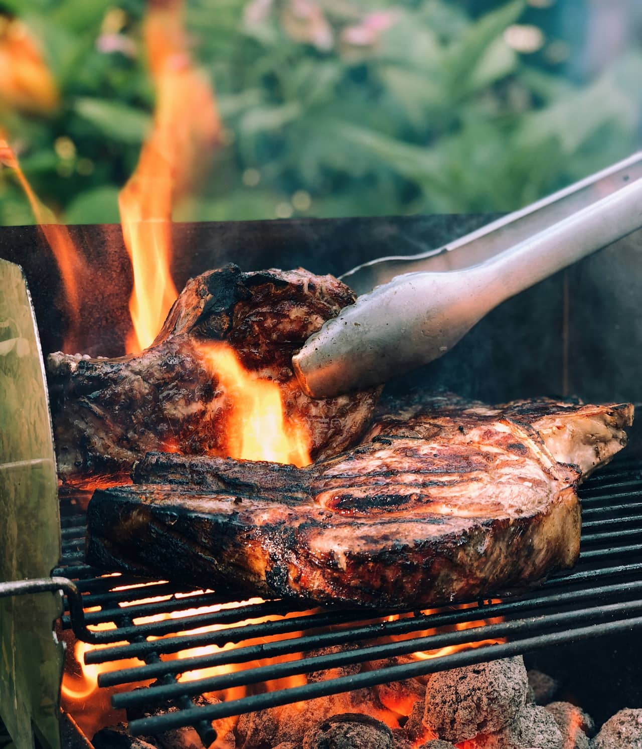 Thick bone-in chops searing over lump charcoal, flames licking up as tongs turn them